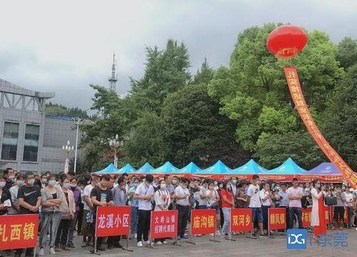 东莞大岭山爆料新闻最新,最新爆料揭示惊人真相  第2张
