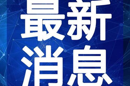 爆料咸阳小黑视频最新版,揭秘惊人内幕，真相令人震惊！